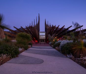 Exterior of ECU’s Chancellery Building at Joondalup Campus, photographed at dusk with native plants in the foreground and architectural spires lit with red lighting.