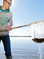 Information about projects involving invertebrate animals only.