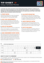 Using a Semester Planner