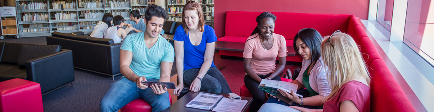 Students in the Library