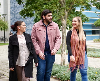 Student Success Team