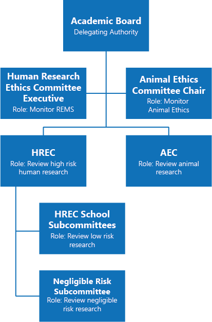 Responsibility for the review of human and ethics review at ECU.